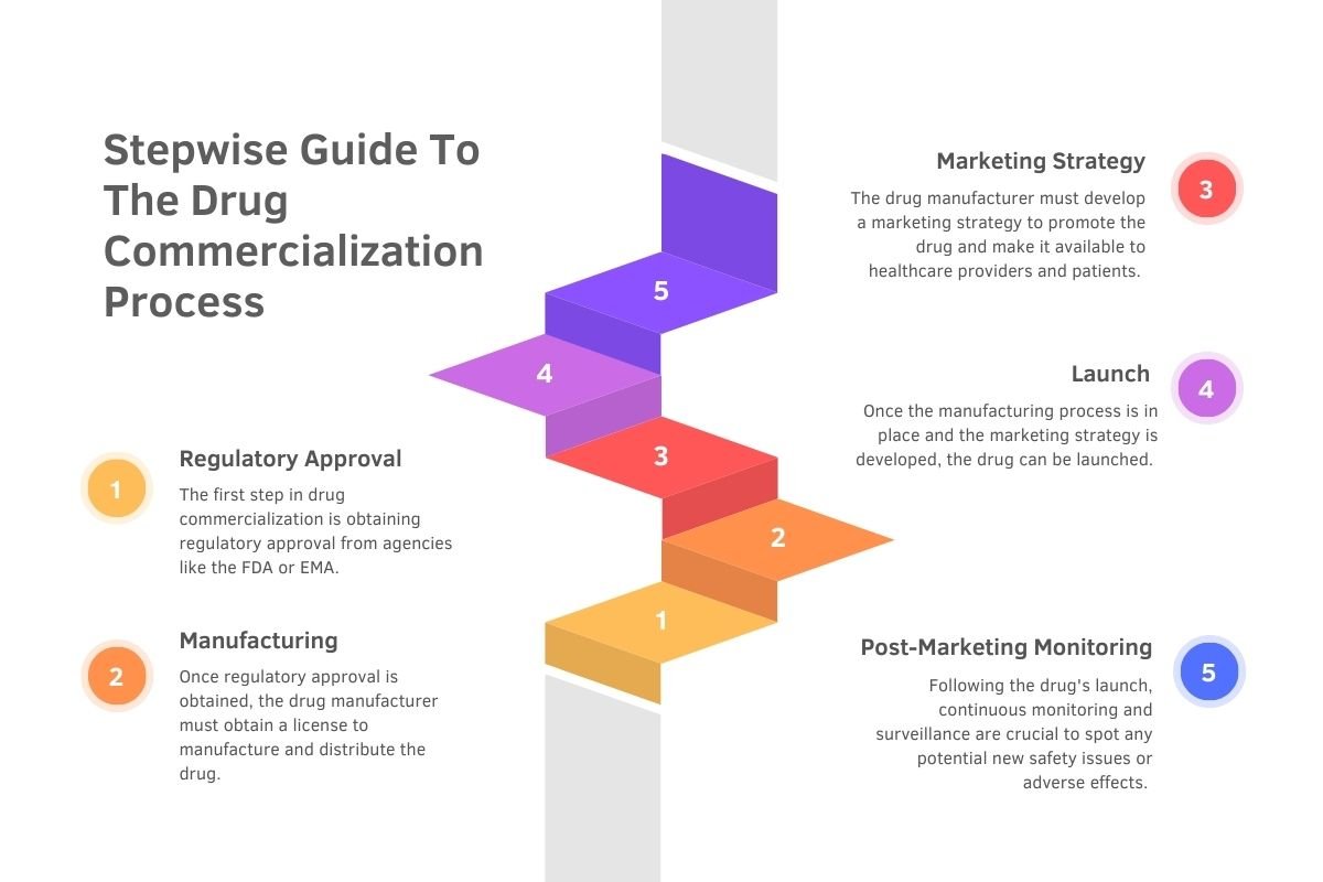 Stepwise Guide To The Drug Commercialization Process
