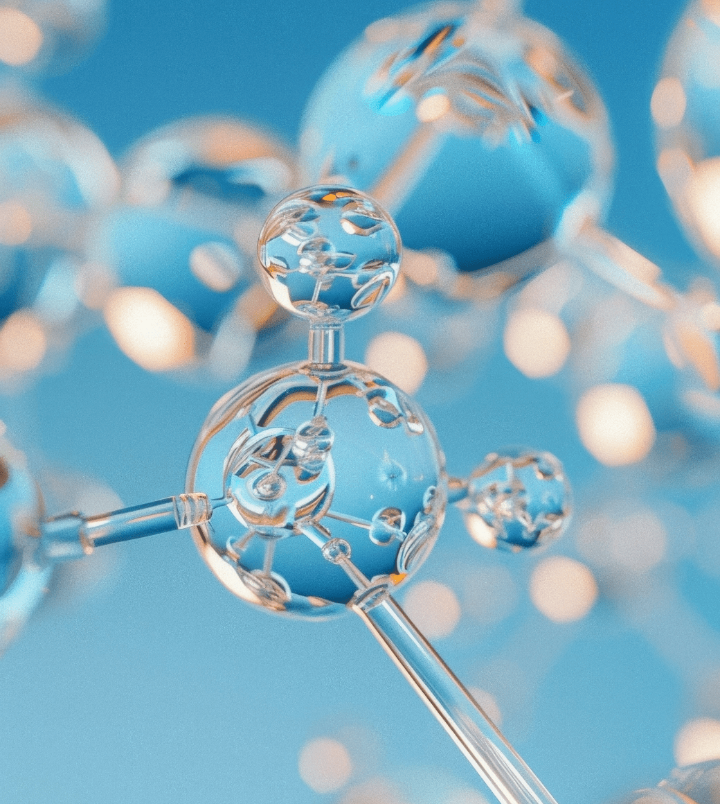 SUBSCRIBE FOR THE UPDATES!