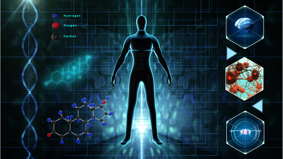 Your Body On Drugs: ADME Explained