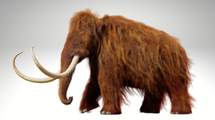 Bringing Back the Past: De-Extiction Explained