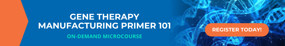 Gene Therapy Manufacturing
