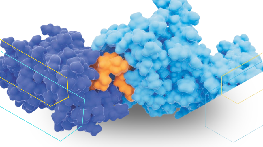 Bye-Bye Diseased Proteins: PROTACs Explained