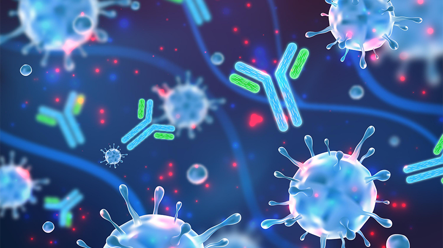 Antibody-Drug Conjugates (ADCs) Explained