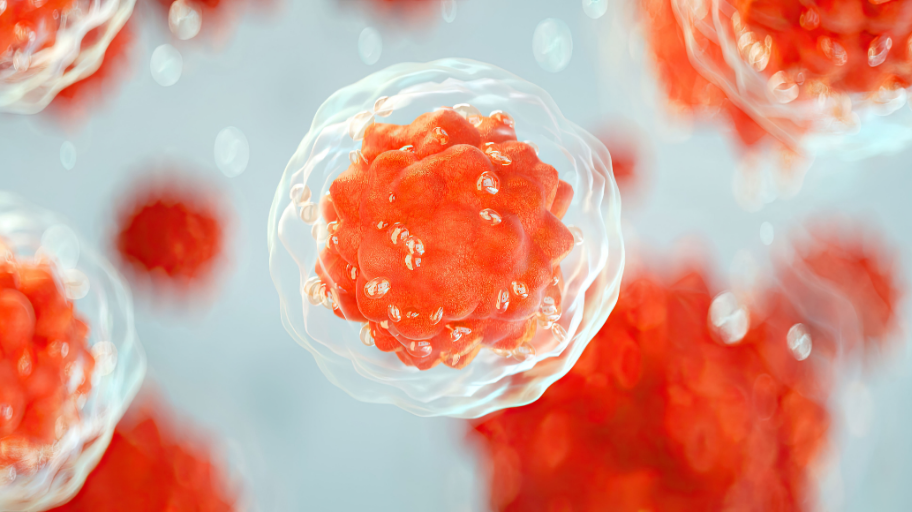 Allogeneic vs. Autologous Stem Cells Explained